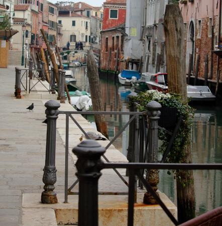 Casa Di Primavera Venedik Dış mekan fotoğraf
